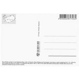 Postcard, Blue Whale