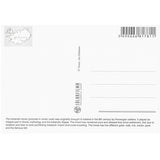 Postcard, The Icelandic Horse