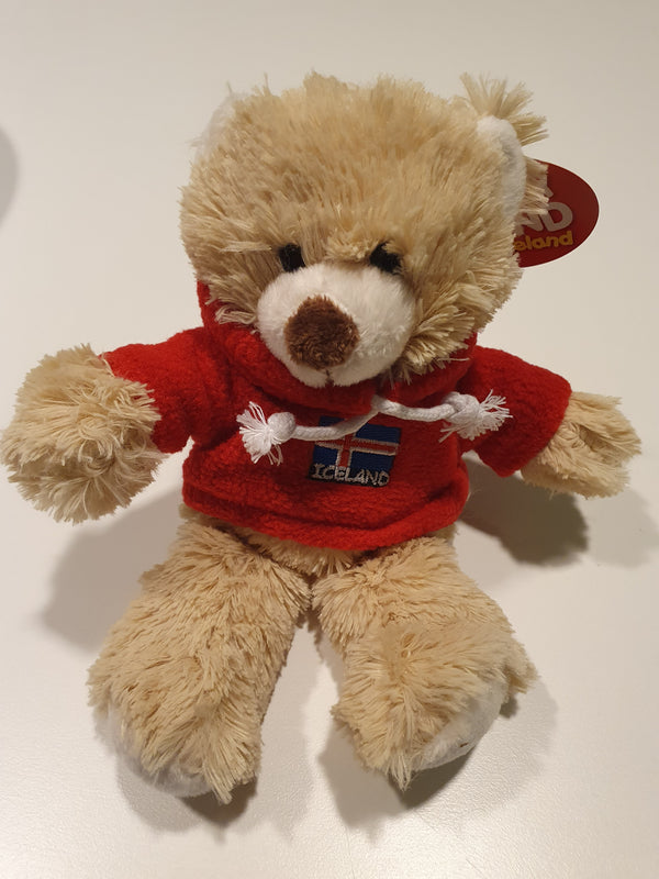 Plush teddy bear, red sweater, flag