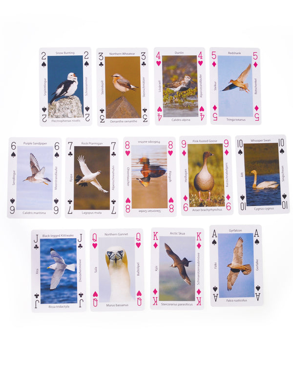 Playing Cards, 53 Bird photos