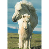 Postcard, horse and foal
