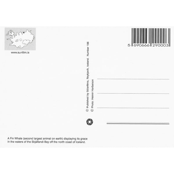 Postcard, Fin Whale