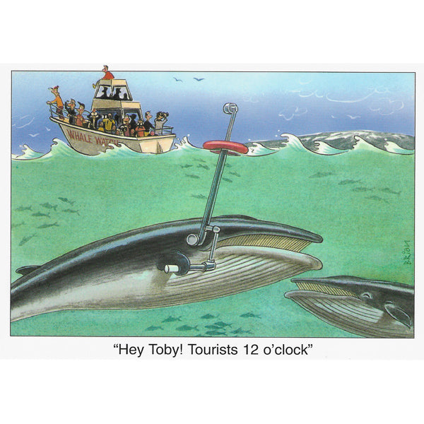 Postcard, Whale watching, cartoon drawing