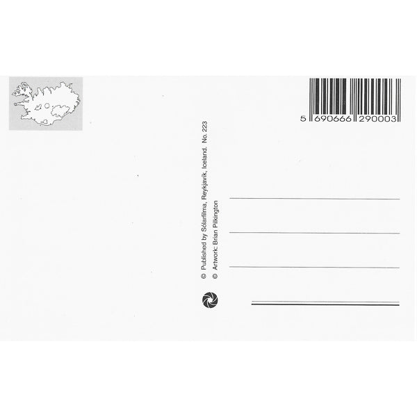 Postcard, Whale watching, cartoon drawing
