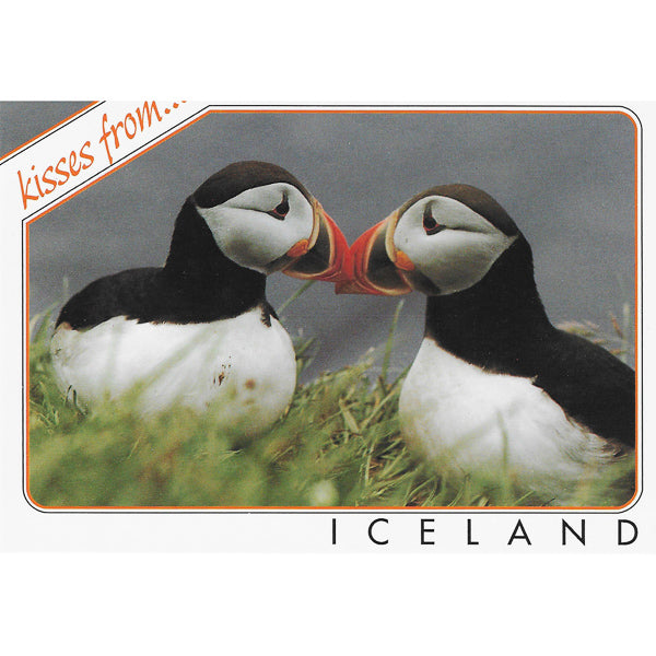 Postcard, Puffins