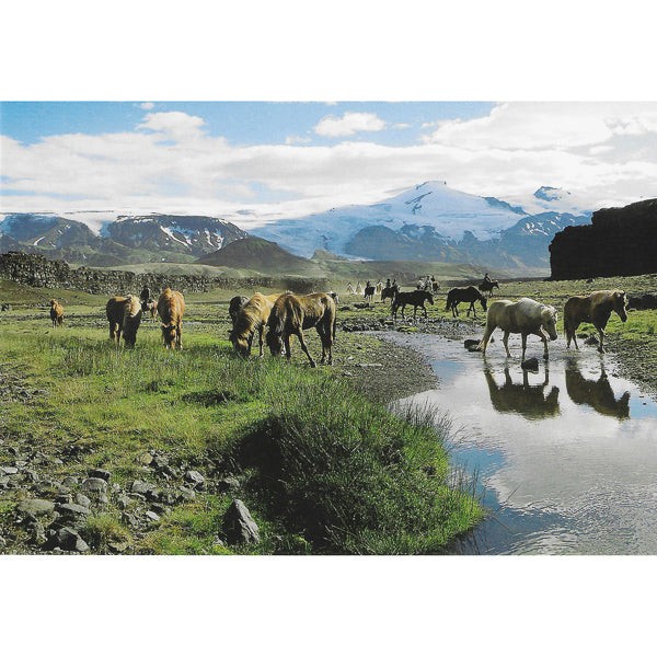 Postcard, Horses and river