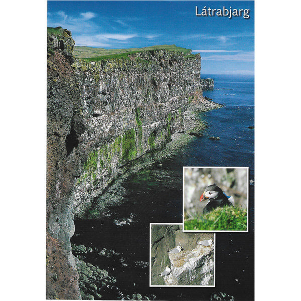 Postcard, Látrabjarg cliff I