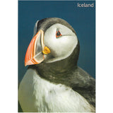 Postcard, Puffin close up