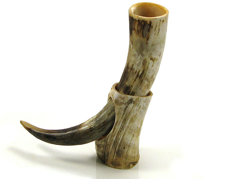 Drinking horn on stand rough
