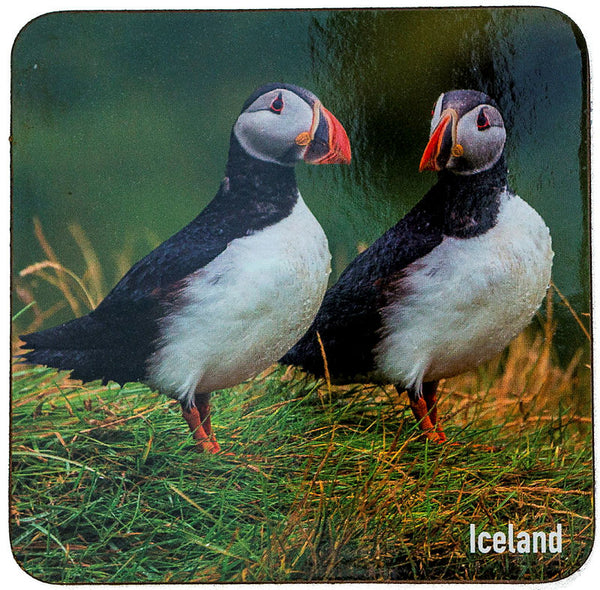 Coaster puffins